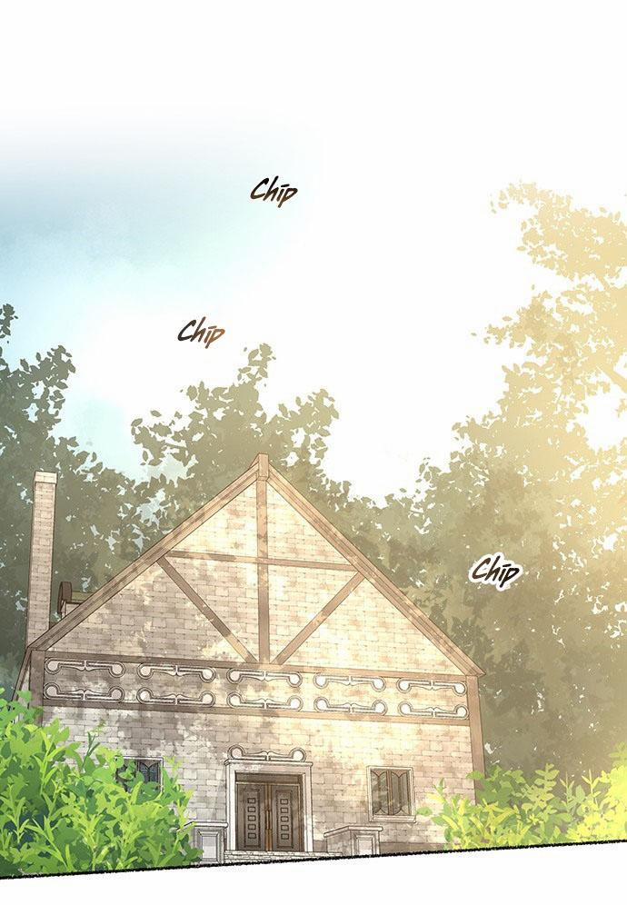 Như Gió Trên Cành Khô 41 trang 1