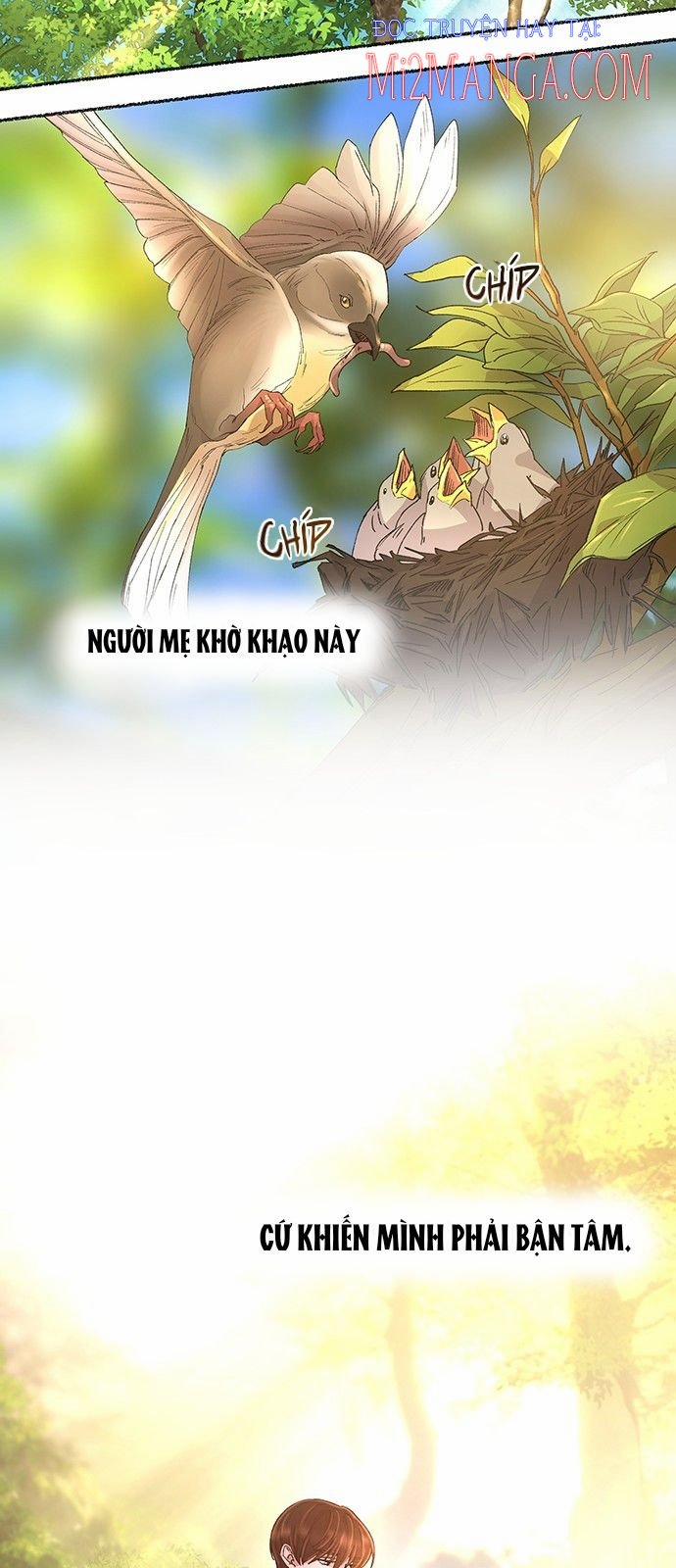 Như Gió Trên Cành Khô 43 trang 39