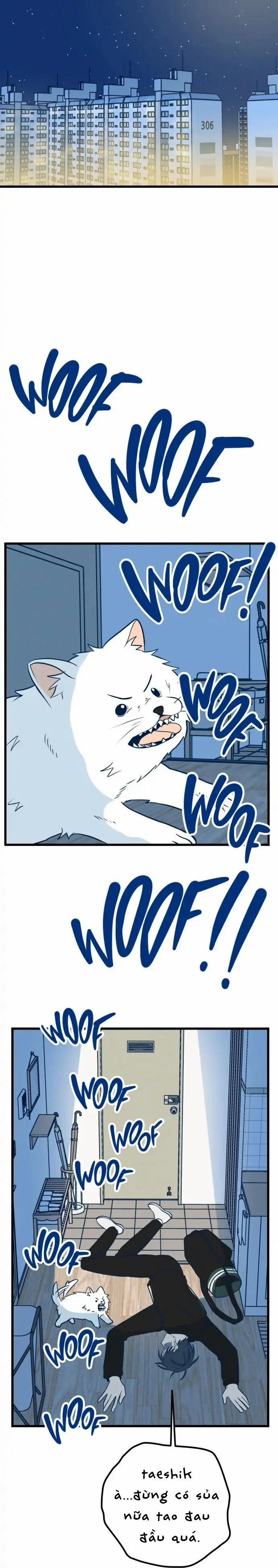 Như Nhau Thôi Mà 10 trang 31