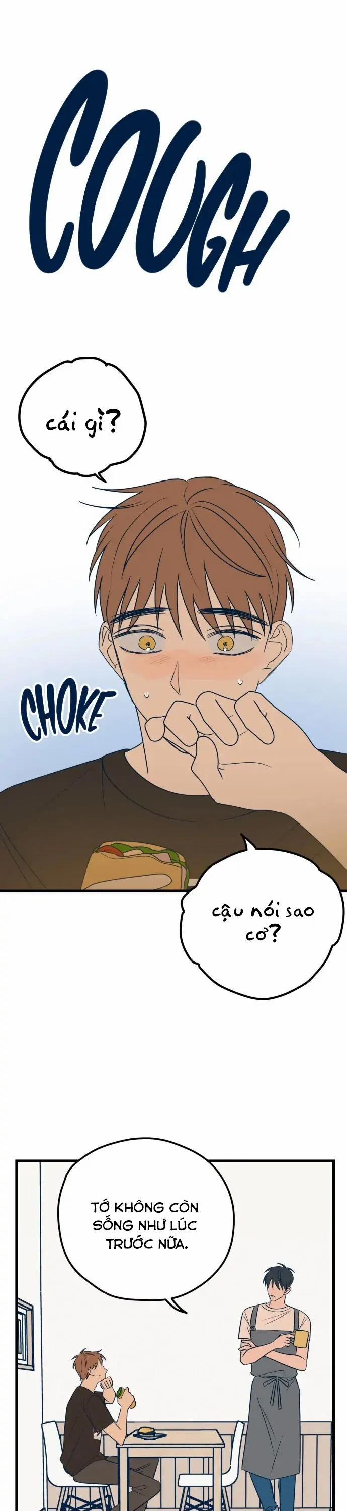 Như Nhau Thôi Mà 11 trang 14