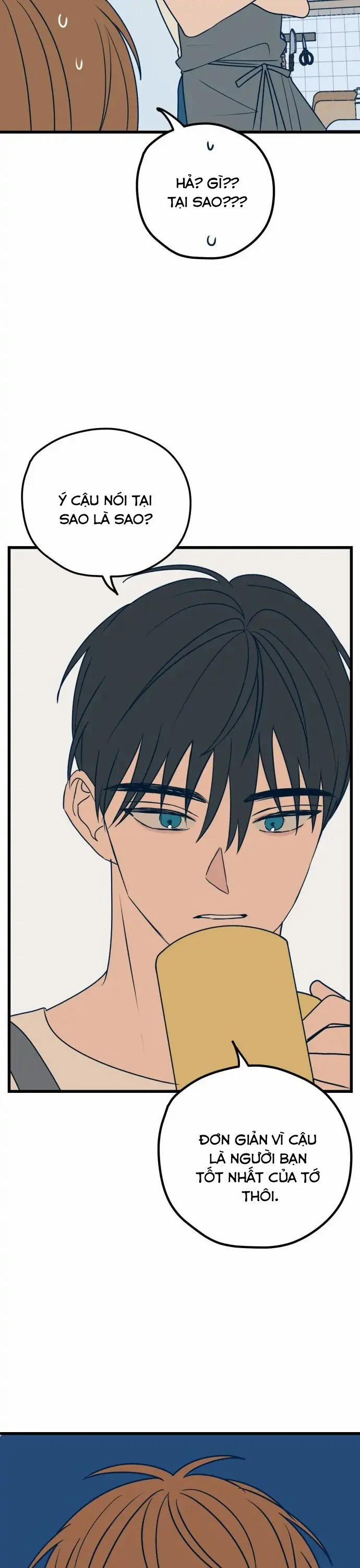 Như Nhau Thôi Mà 11 trang 17