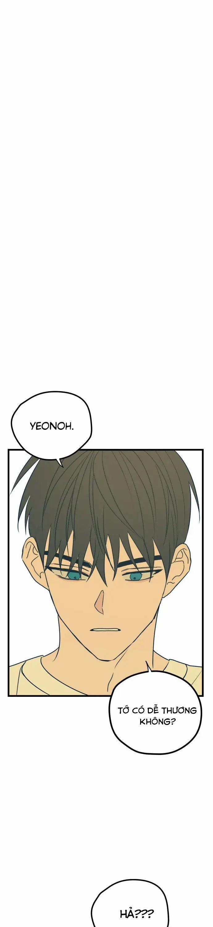 Như Nhau Thôi Mà 11 trang 40