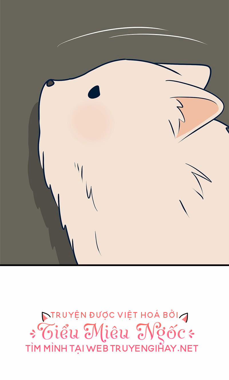 Như Nhau Thôi Mà 46 trang 11