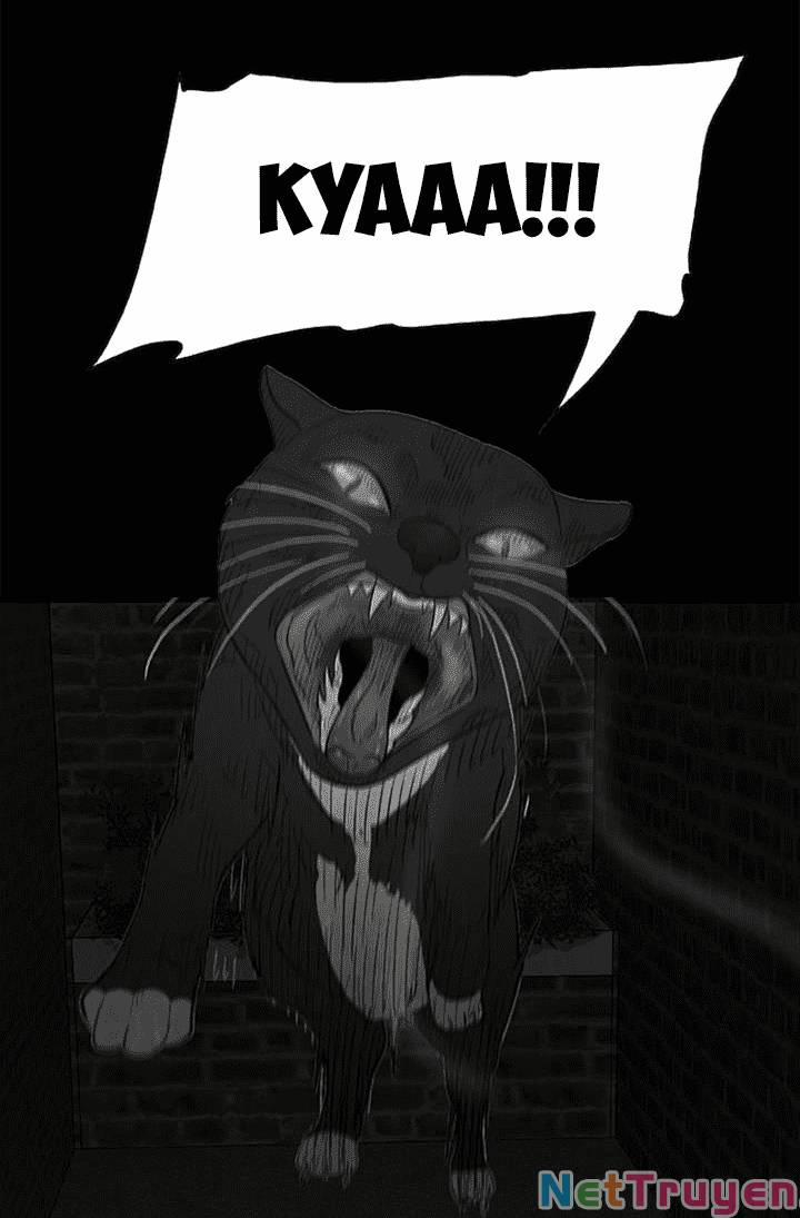 Những Câu Chuyện Kinh Dị Độc Đáo 3 trang 19