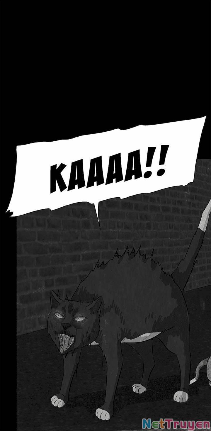 Những Câu Chuyện Kinh Dị Độc Đáo 3 trang 26