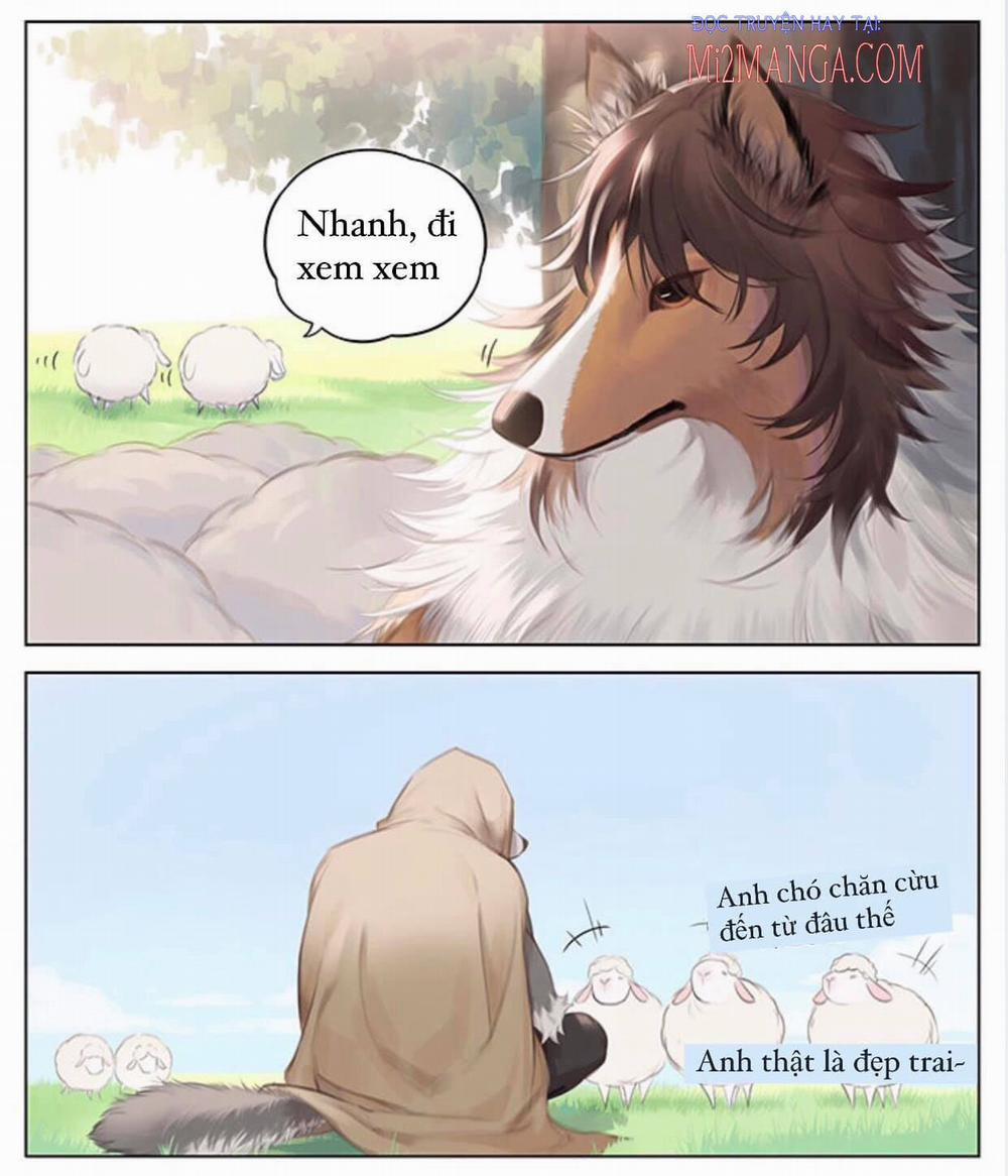 Những Chiếc Cừu Tâm Cơ 3 trang 1