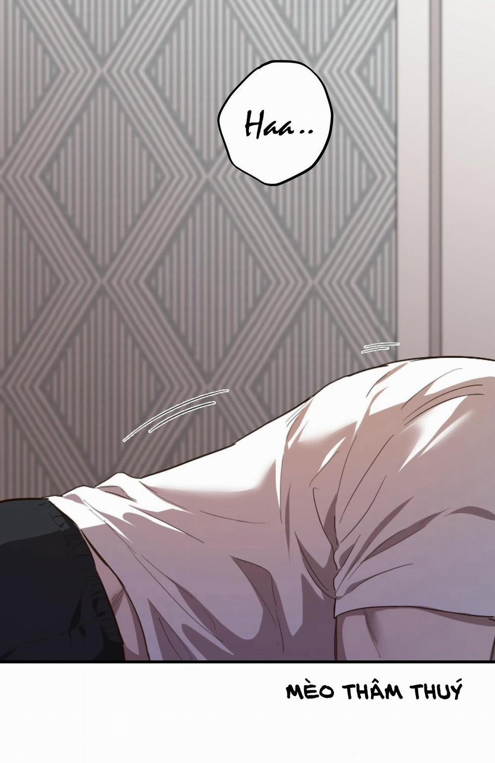 Những Chú Thỏ Của Habibi 1 trang 0