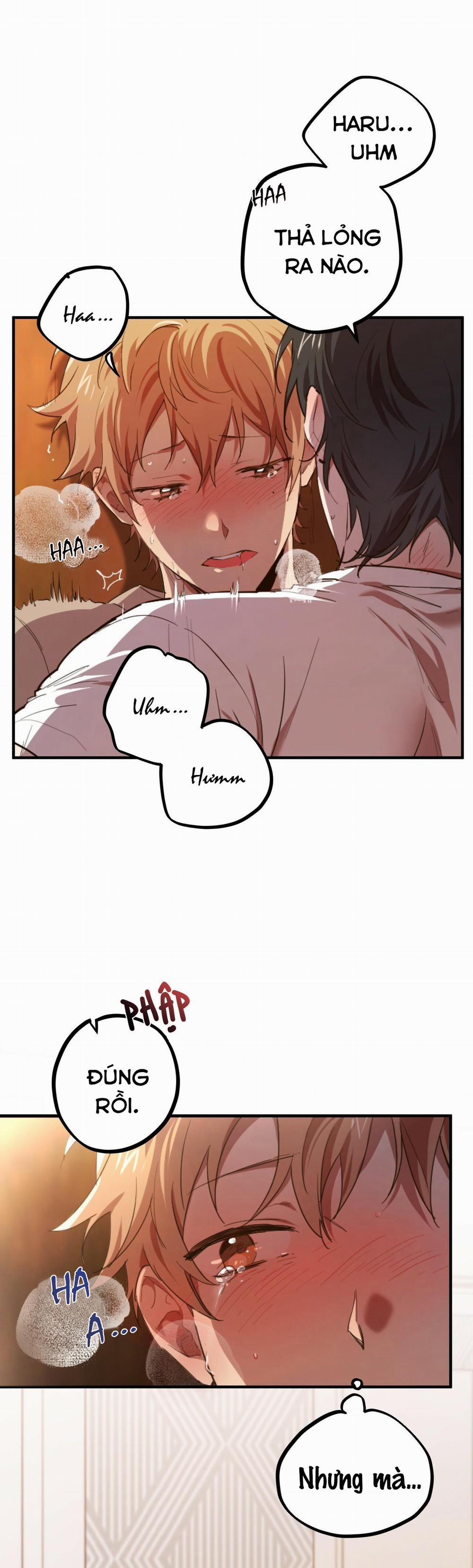 Những Chú Thỏ Của Habibi 1 trang 11