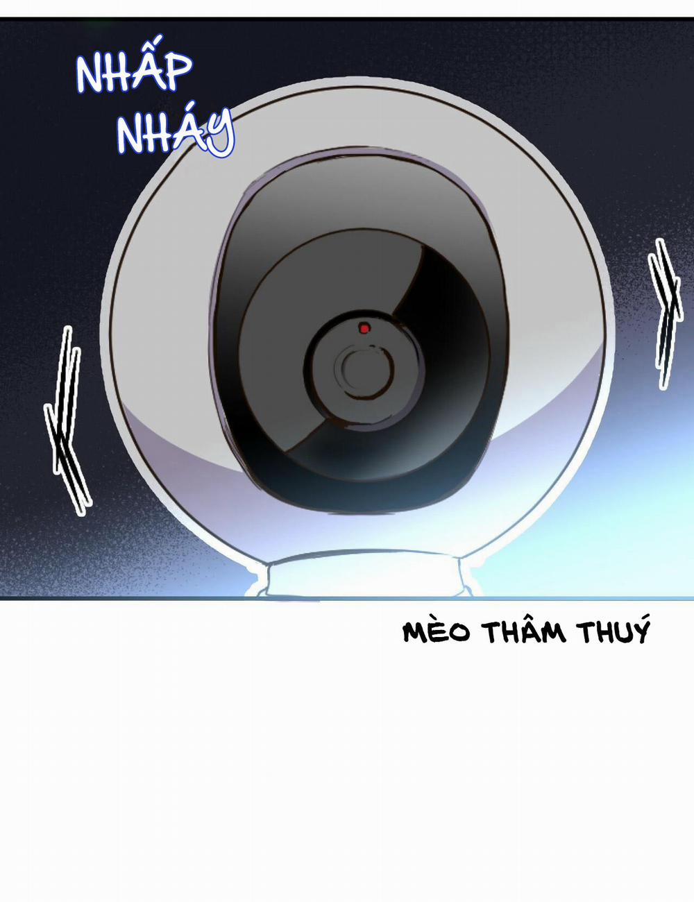 Những Chú Thỏ Của Habibi 1 trang 13