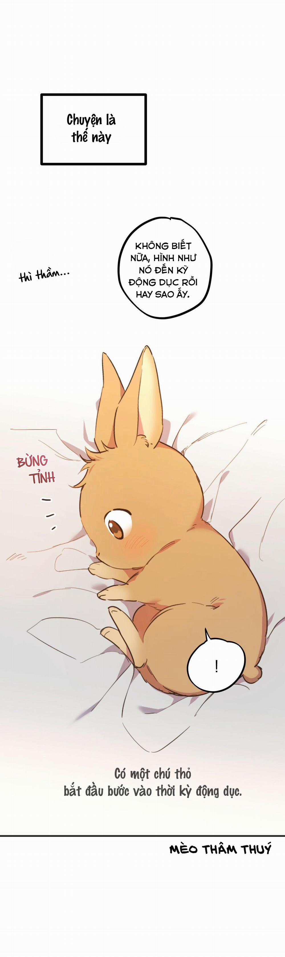 Những Chú Thỏ Của Habibi 1 trang 18