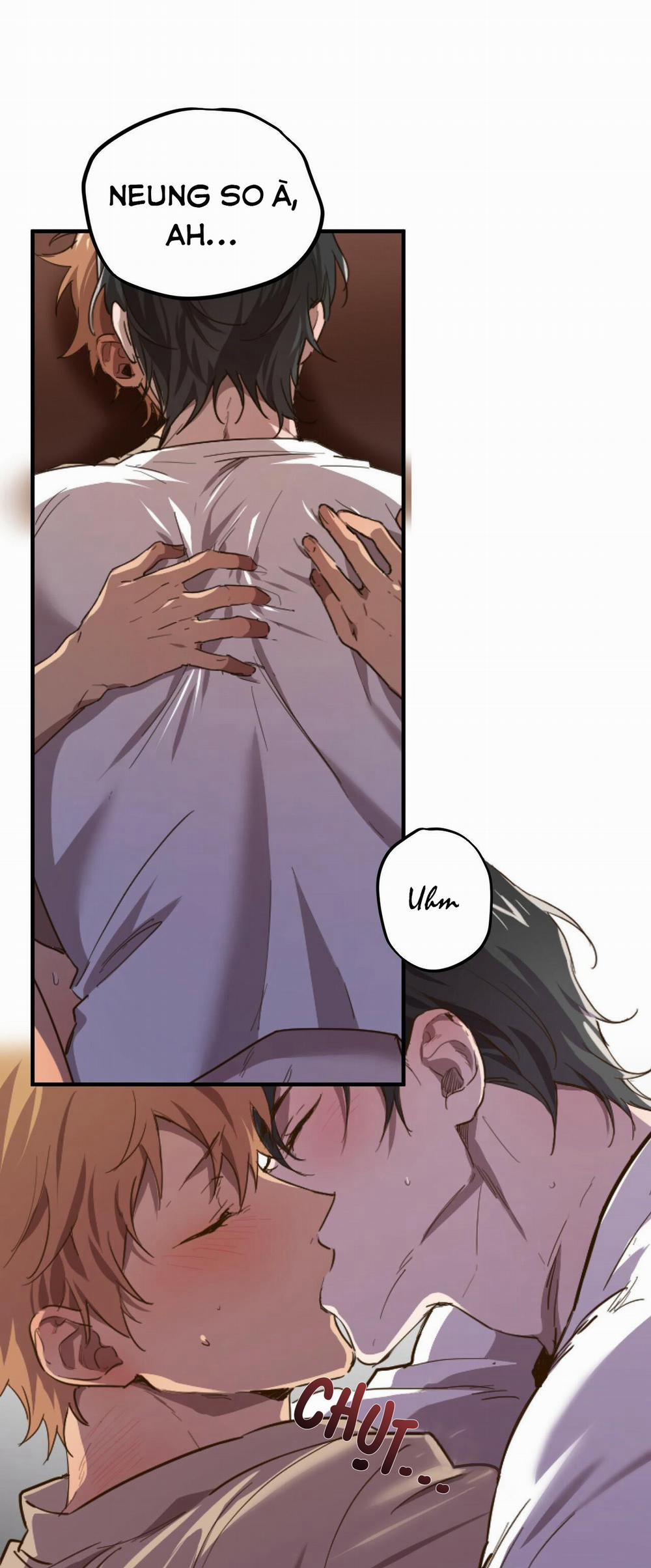 Những Chú Thỏ Của Habibi 1 trang 3