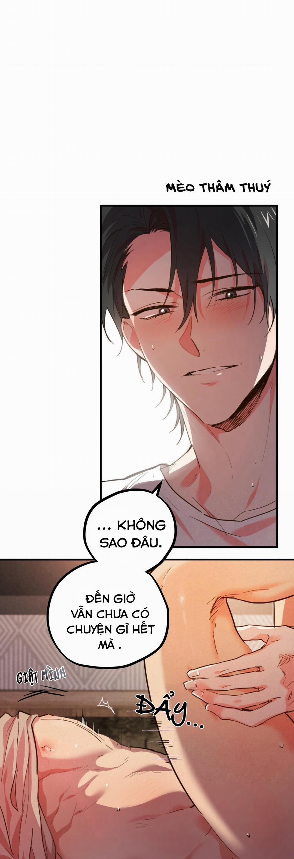 Những Chú Thỏ Của Habibi 1 trang 8