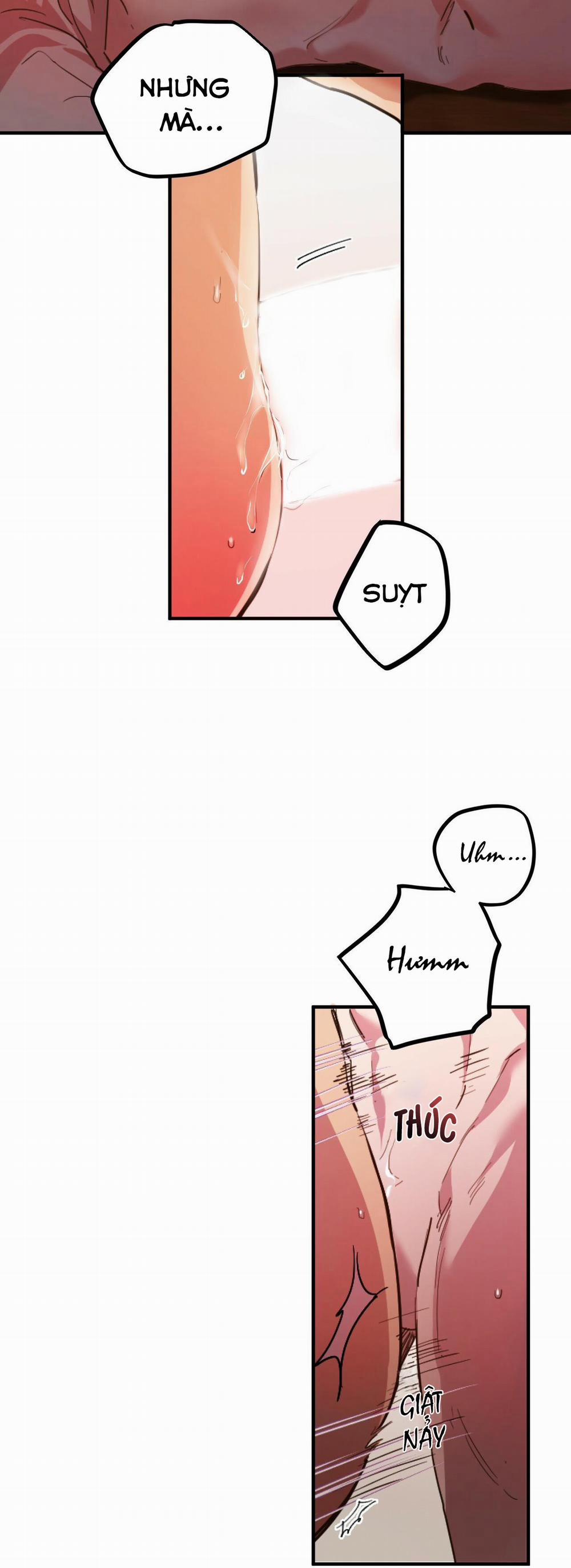 Những Chú Thỏ Của Habibi 1 trang 9