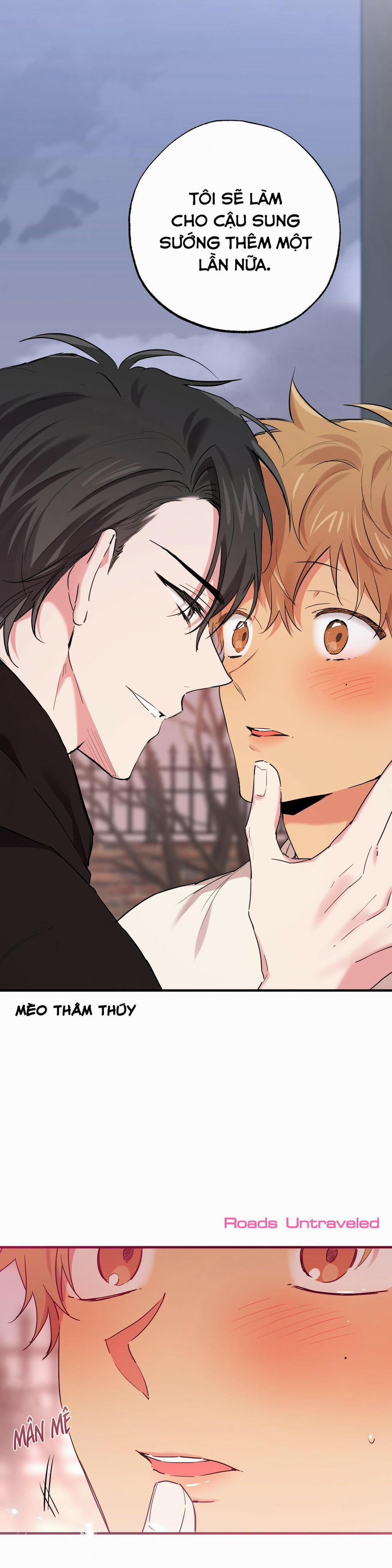 Những Chú Thỏ Của Habibi 10 trang 1