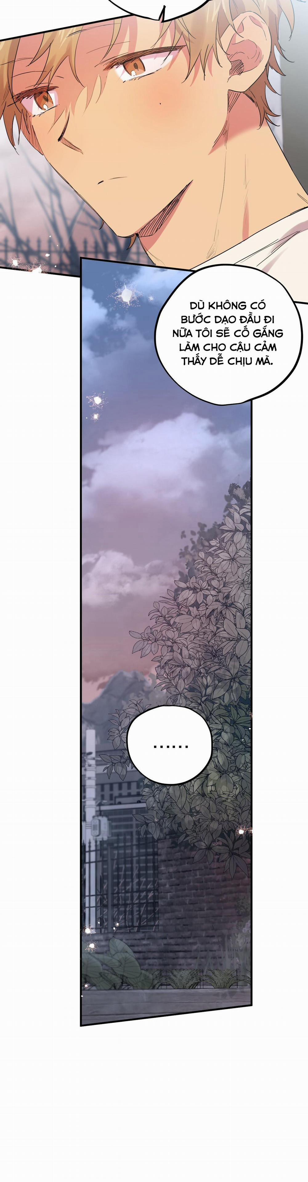 Những Chú Thỏ Của Habibi 10 trang 17