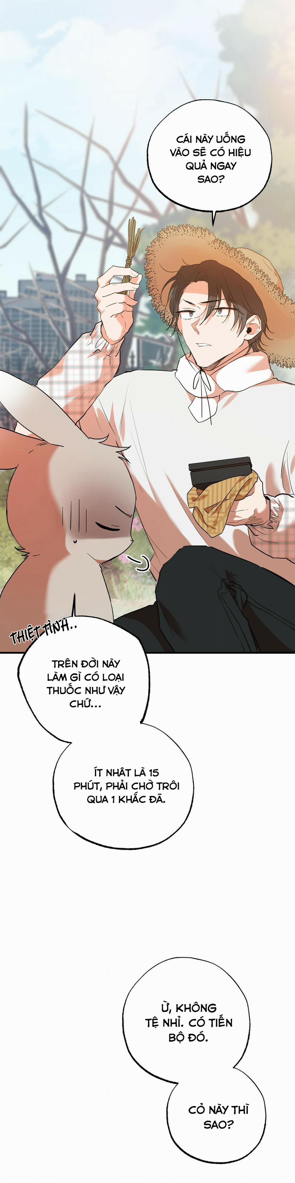 Những Chú Thỏ Của Habibi 10 trang 30