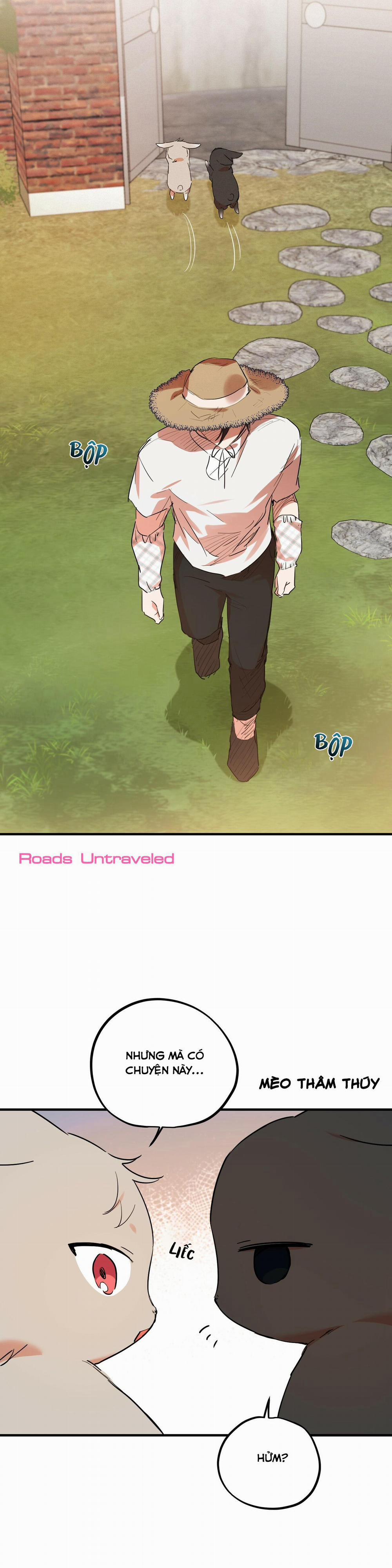 Những Chú Thỏ Của Habibi 10 trang 34