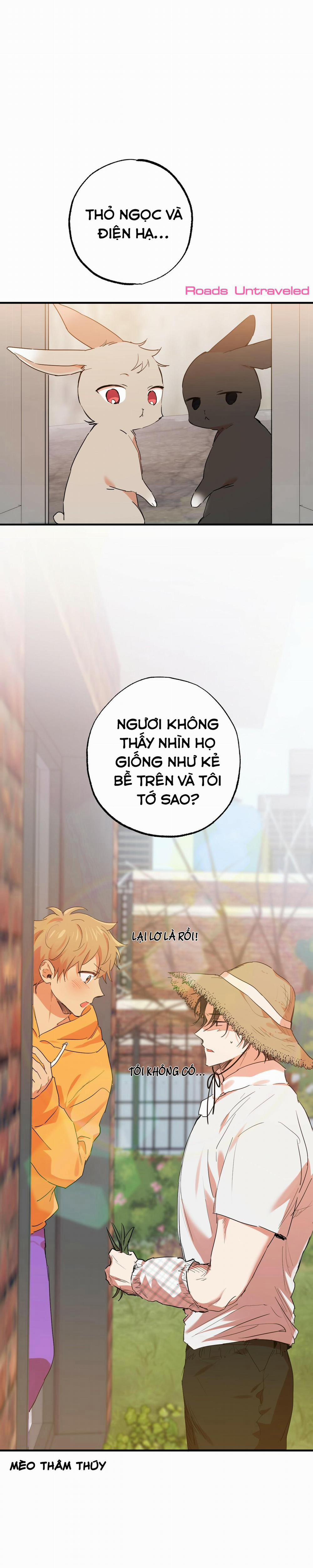 Những Chú Thỏ Của Habibi 10 trang 35