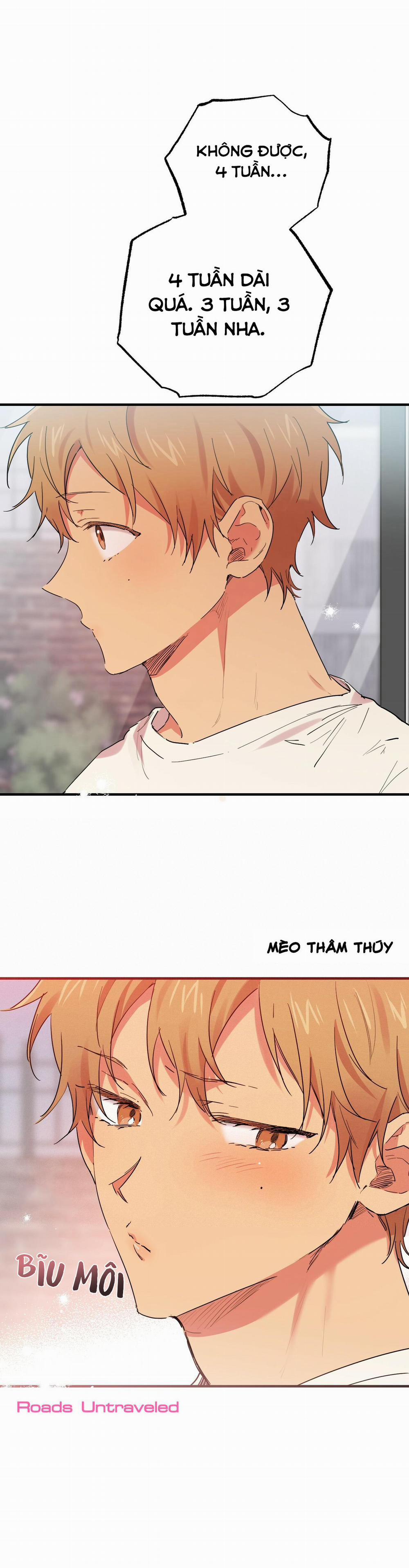 Những Chú Thỏ Của Habibi 10 trang 4