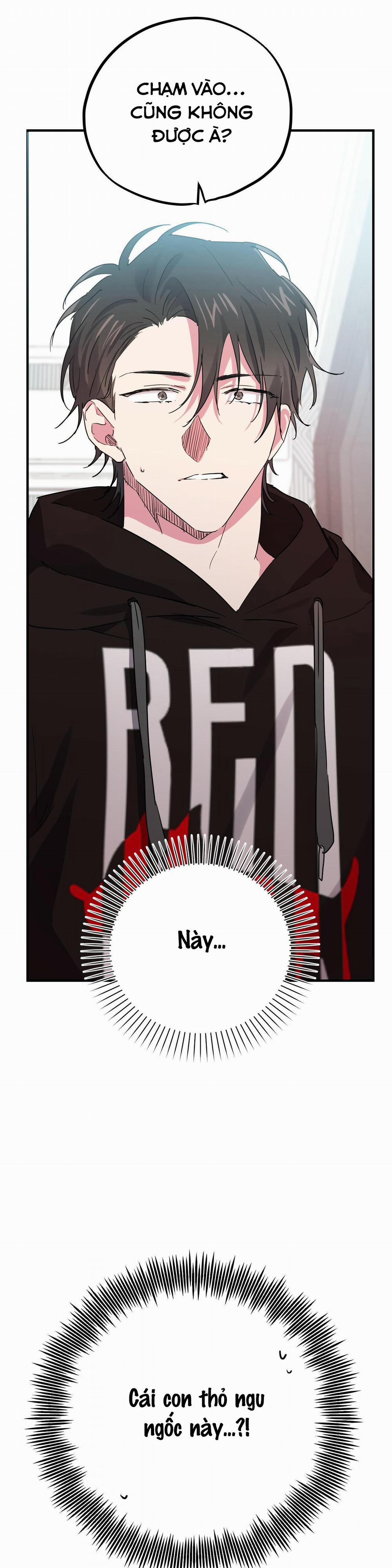 Những Chú Thỏ Của Habibi 10 trang 7