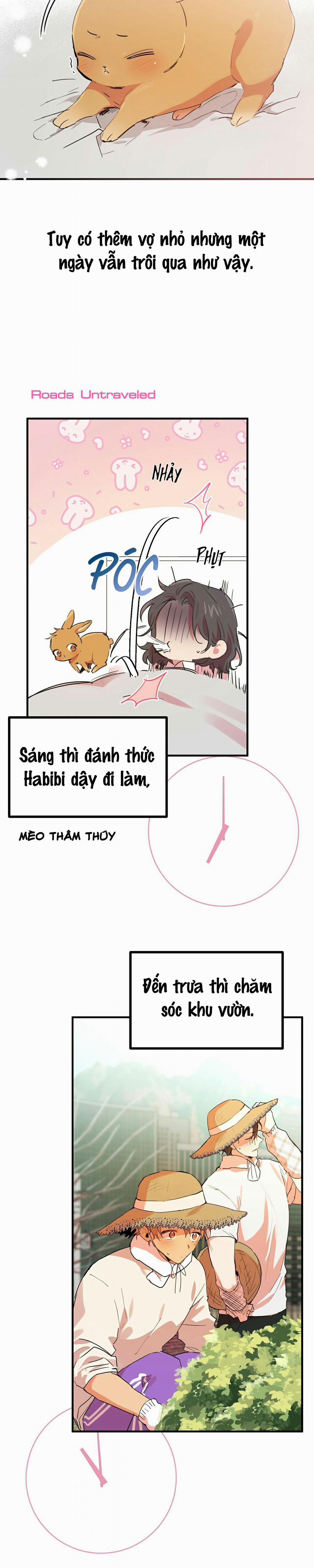 Những Chú Thỏ Của Habibi 11 trang 0