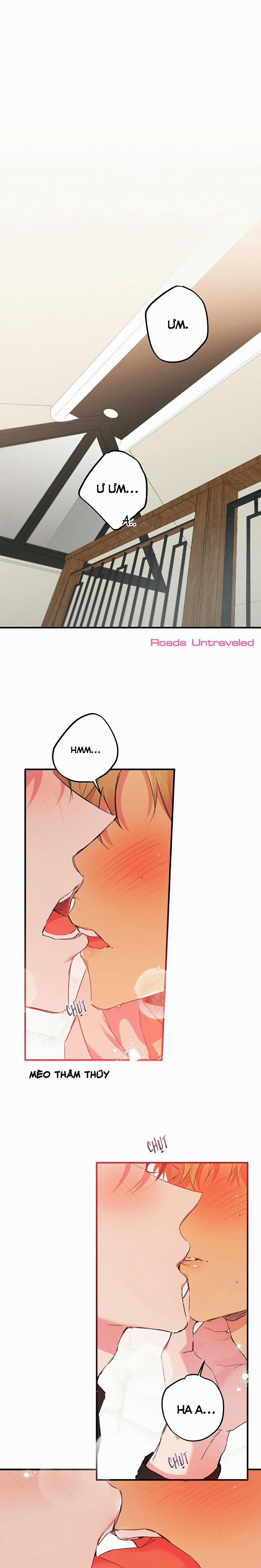 Những Chú Thỏ Của Habibi 11 trang 15