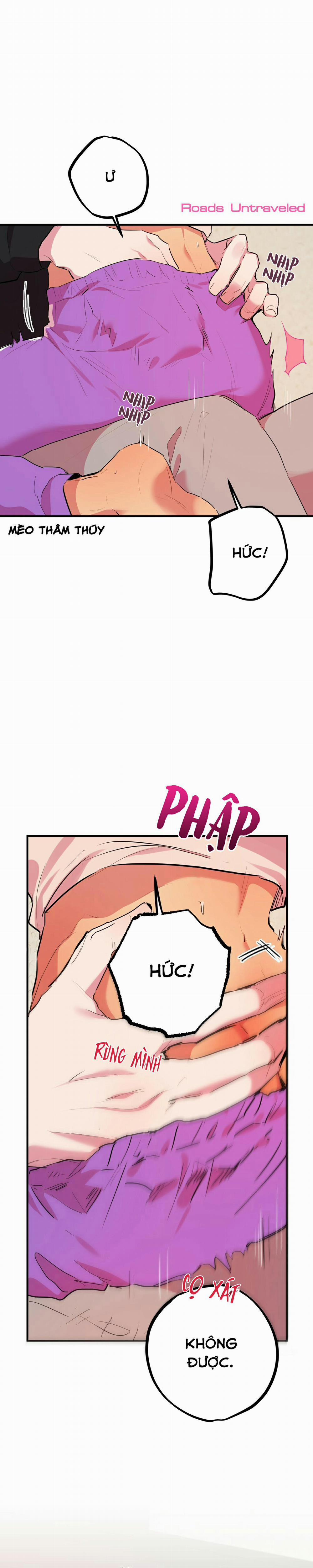 Những Chú Thỏ Của Habibi 11 trang 17