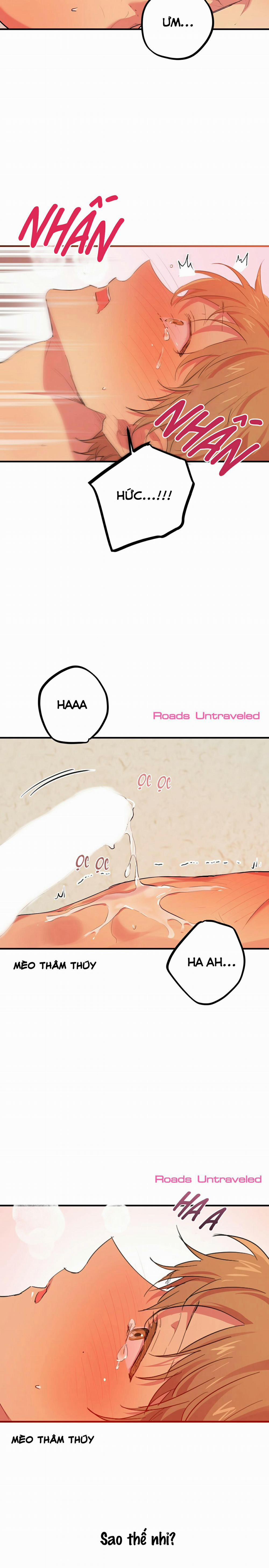 Những Chú Thỏ Của Habibi 11 trang 20