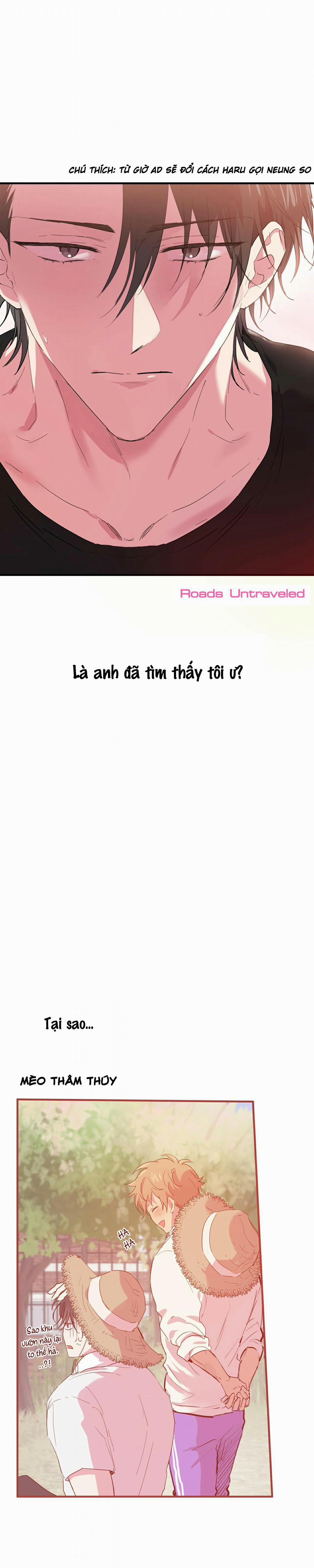 Những Chú Thỏ Của Habibi 11 trang 21