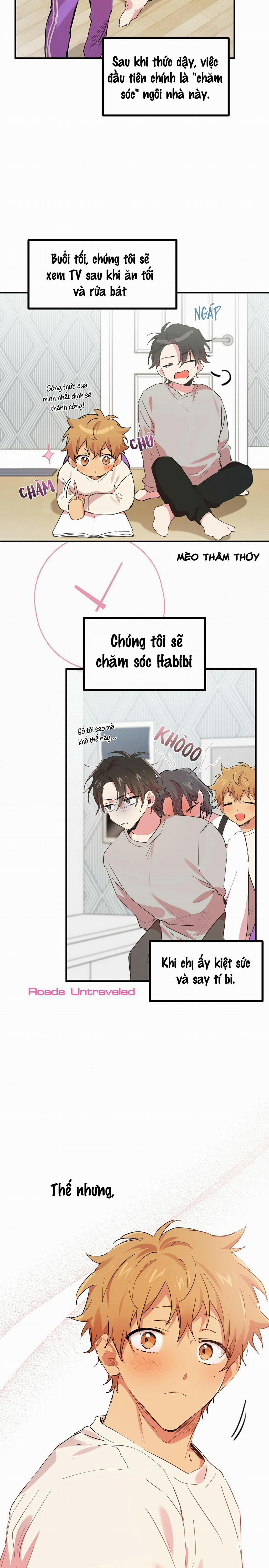 Những Chú Thỏ Của Habibi 11 trang 3