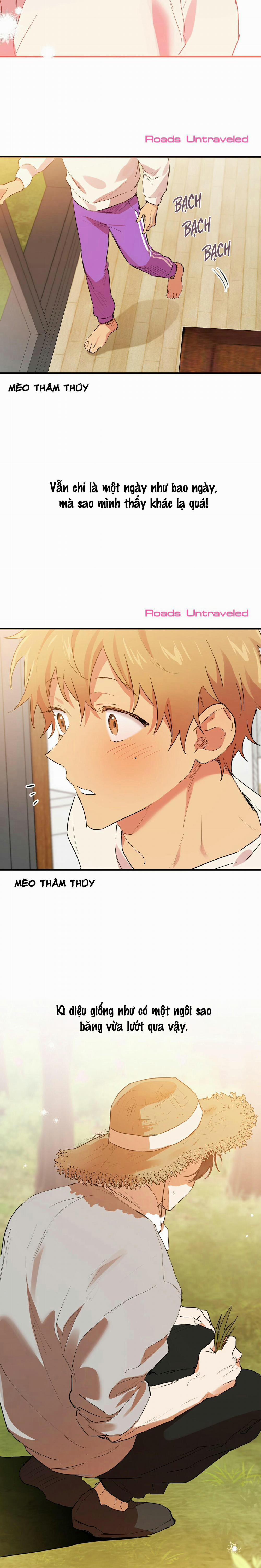 Những Chú Thỏ Của Habibi 11 trang 4