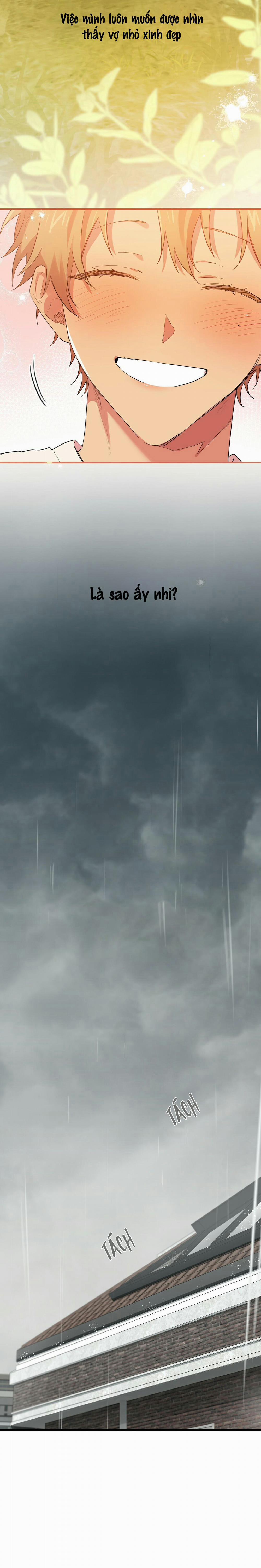 Những Chú Thỏ Của Habibi 11 trang 5