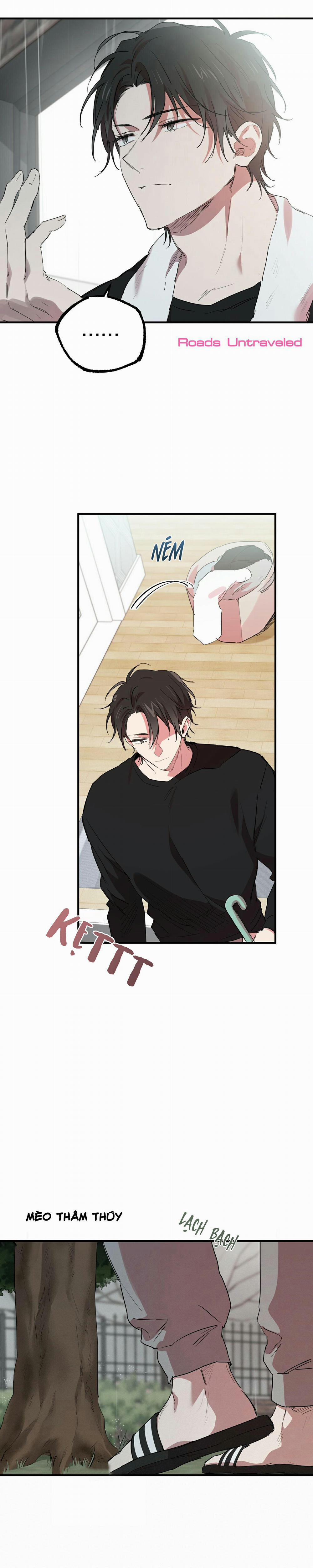 Những Chú Thỏ Của Habibi 11 trang 6