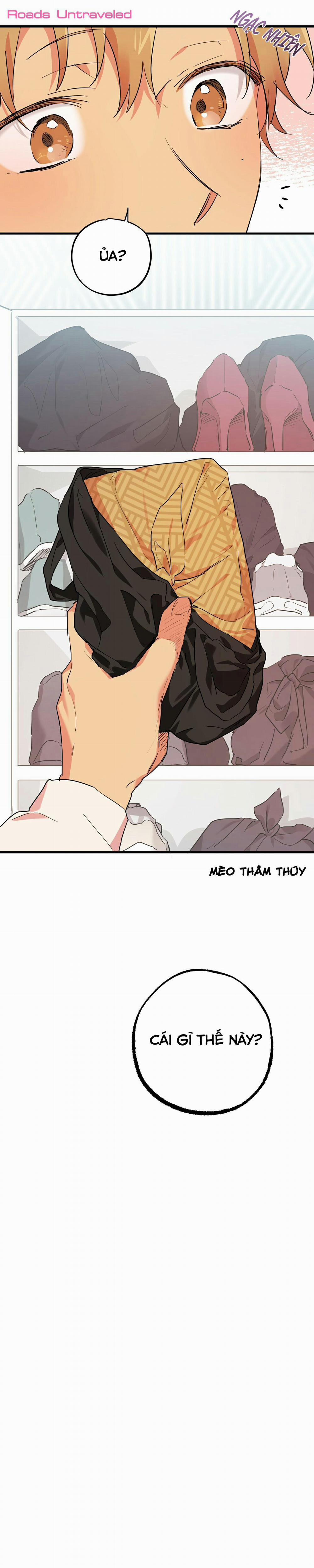 Những Chú Thỏ Của Habibi 12 trang 0