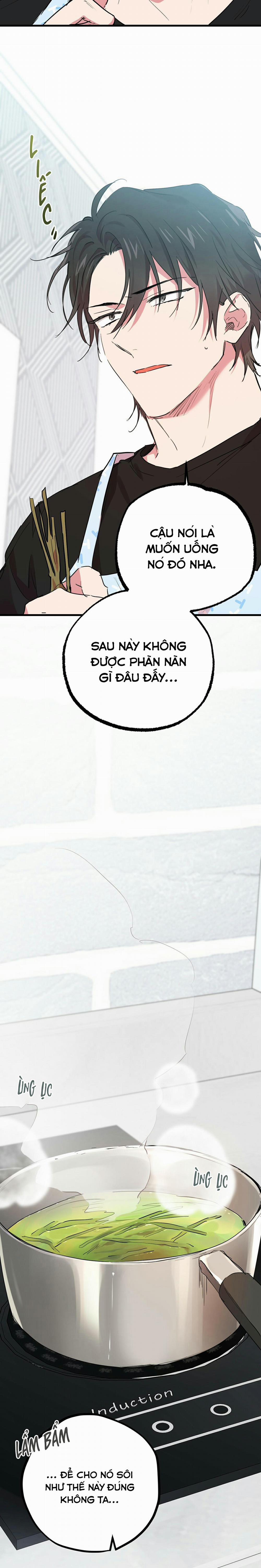 Những Chú Thỏ Của Habibi 12 trang 12