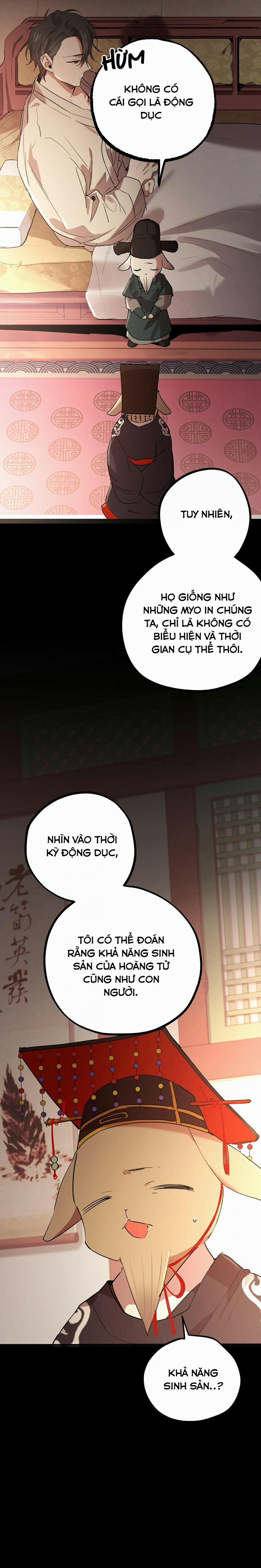 Những Chú Thỏ Của Habibi 12 trang 15