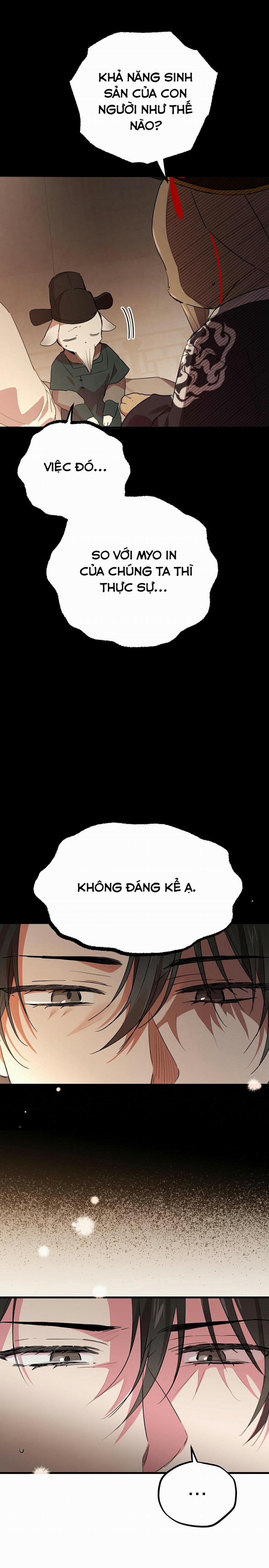 Những Chú Thỏ Của Habibi 12 trang 16