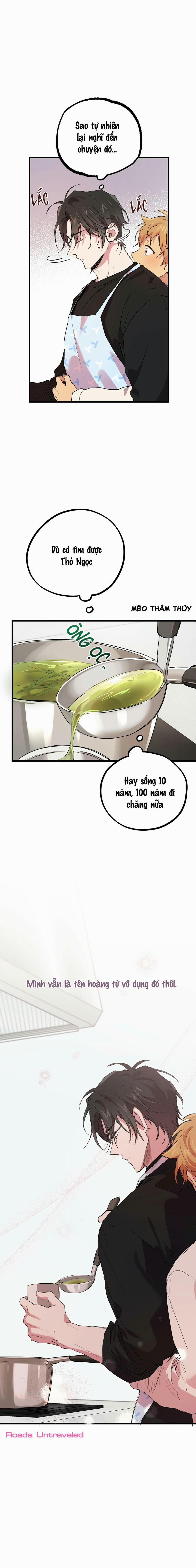 Những Chú Thỏ Của Habibi 12 trang 17