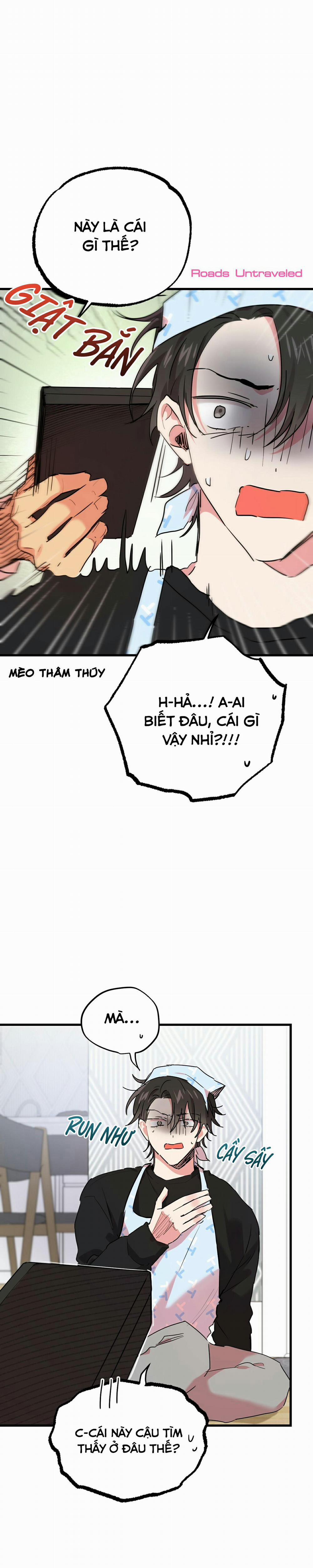 Những Chú Thỏ Của Habibi 12 trang 2