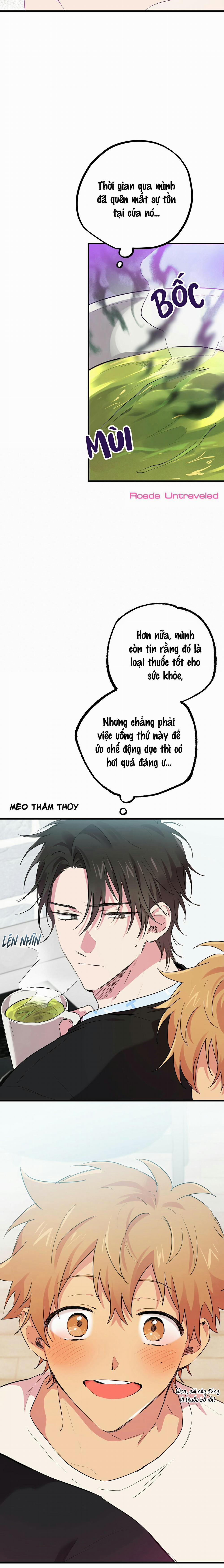 Những Chú Thỏ Của Habibi 12 trang 21