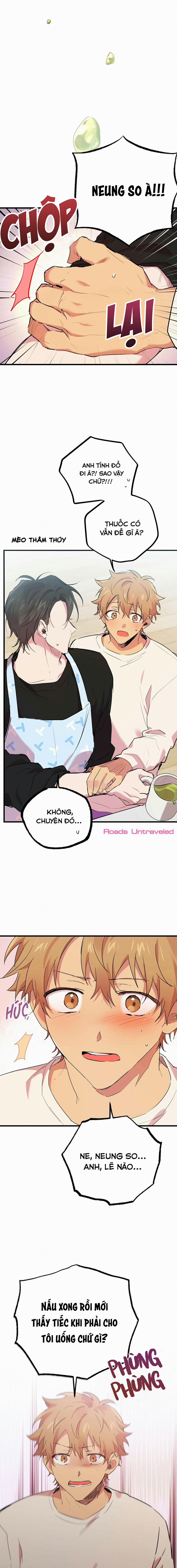 Những Chú Thỏ Của Habibi 12 trang 22