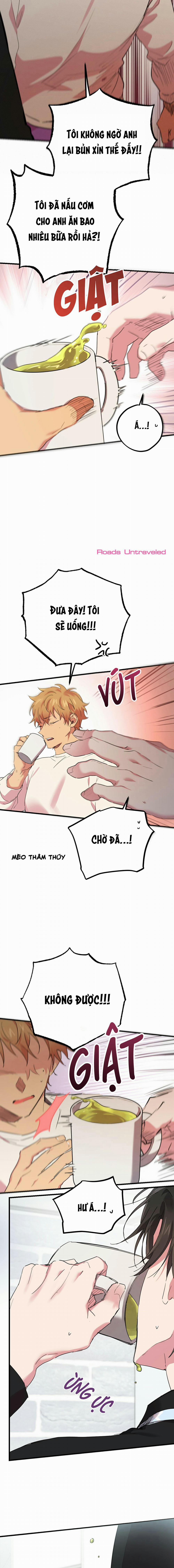 Những Chú Thỏ Của Habibi 12 trang 23