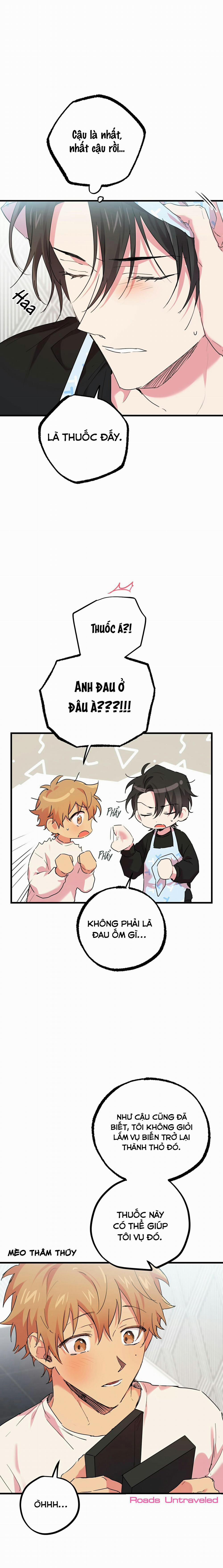 Những Chú Thỏ Của Habibi 12 trang 4