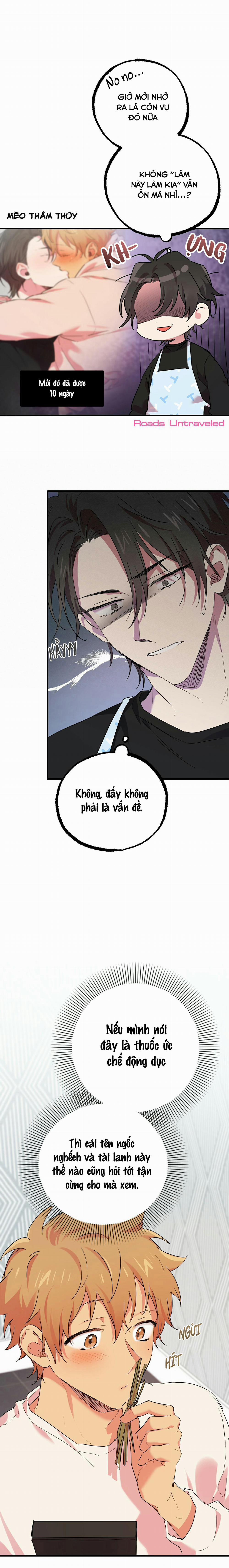 Những Chú Thỏ Của Habibi 12 trang 6