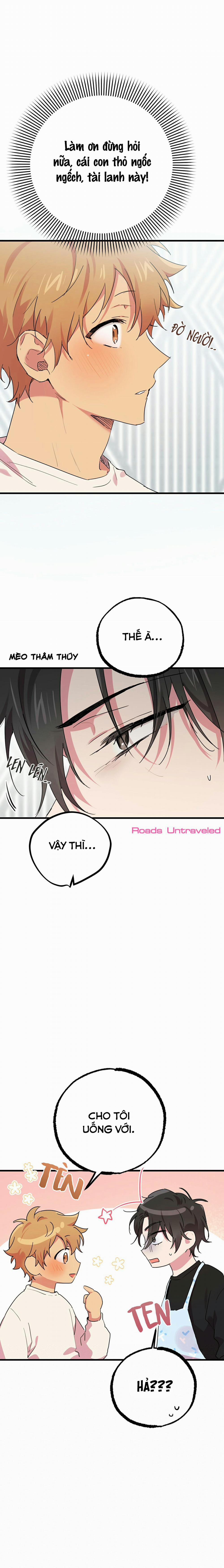 Những Chú Thỏ Của Habibi 12 trang 8