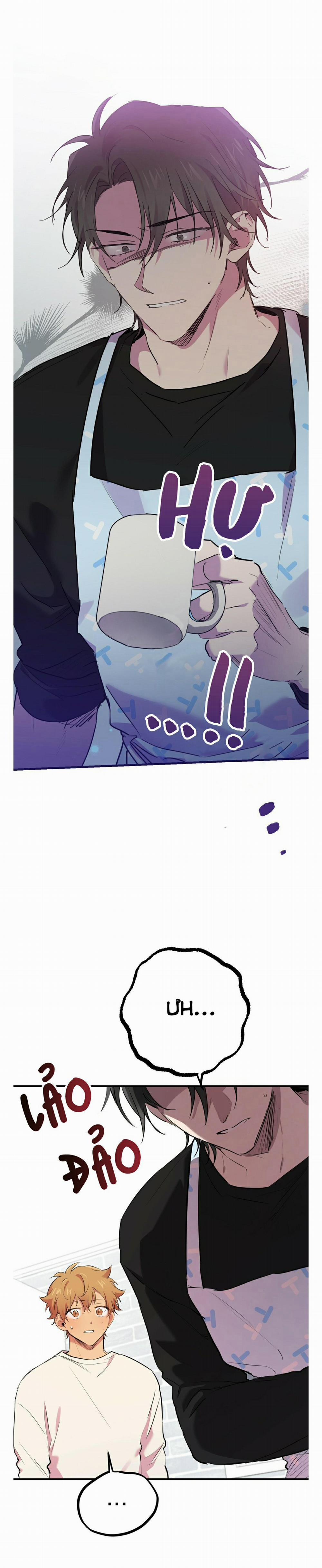 Những Chú Thỏ Của Habibi 13 trang 0