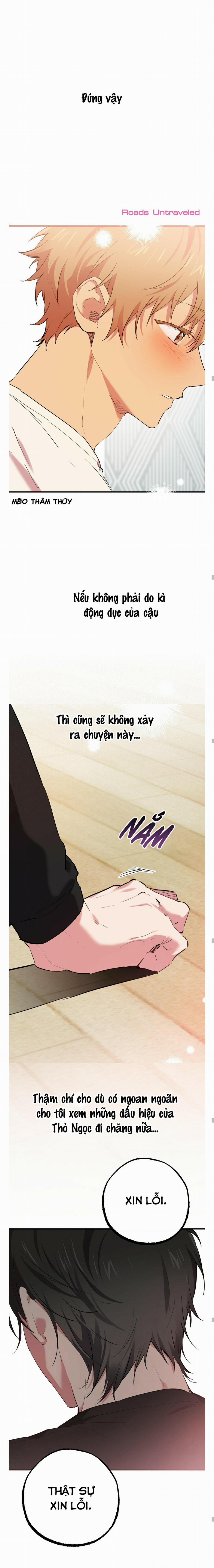 Những Chú Thỏ Của Habibi 13 trang 13