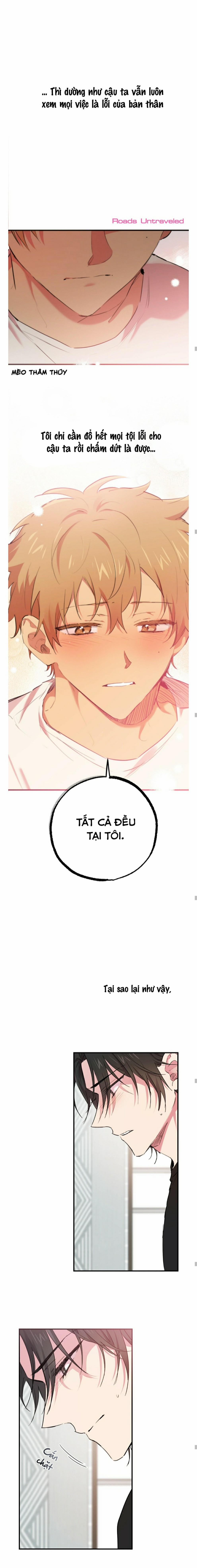 Những Chú Thỏ Của Habibi 13 trang 14