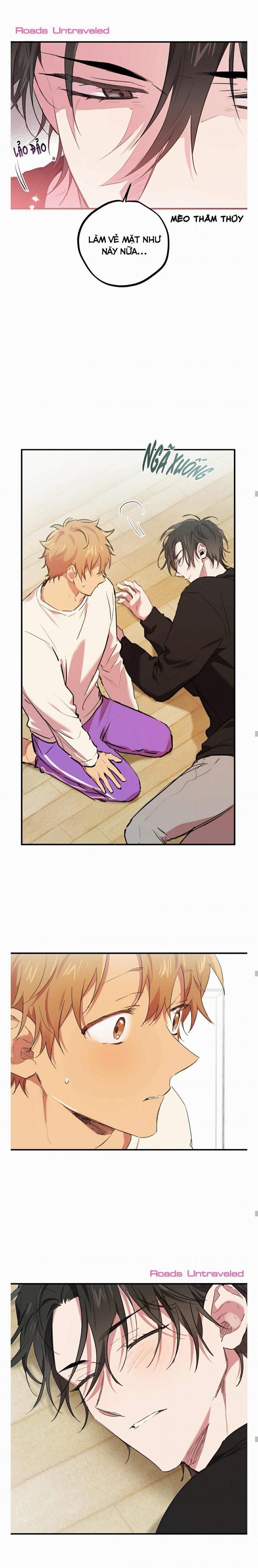 Những Chú Thỏ Của Habibi 13 trang 17