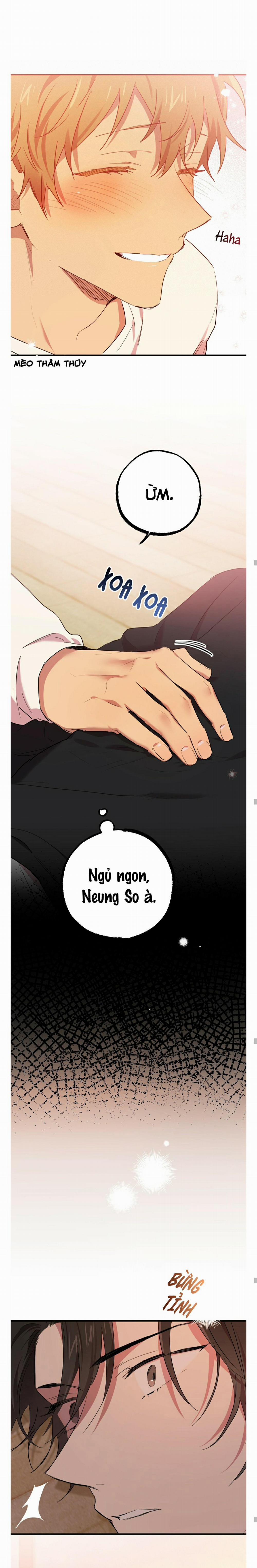 Những Chú Thỏ Của Habibi 13 trang 18